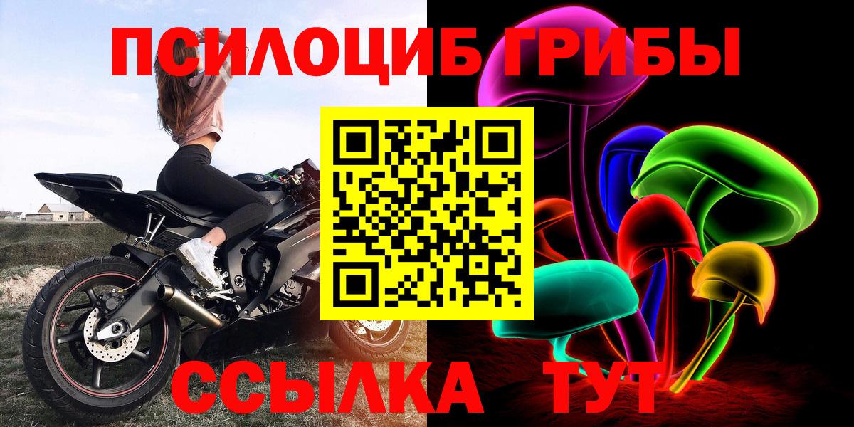 Карачаевск  Псилоцибиновые грибы GOLDEN TEACHER  Вход с VPN 