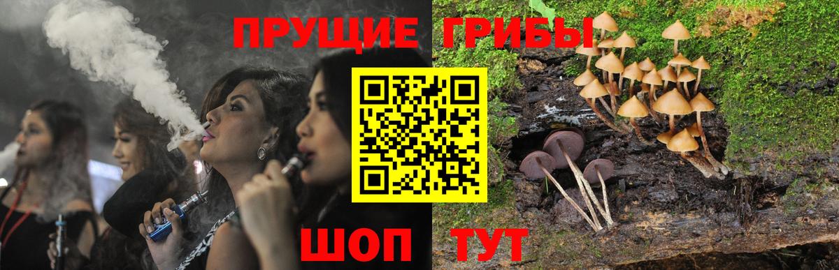 Галлюциногенные грибы прущие грибы Карачаевск